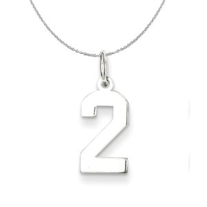 Sterling Silver, Athletic Collection Medium Polished Number 2 Necklace