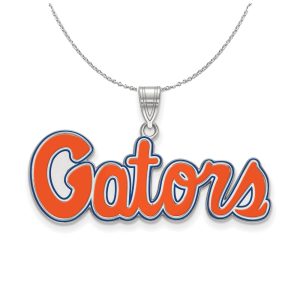 Sterling Silver U. of Florida Medium Enamel Pendant Necklace