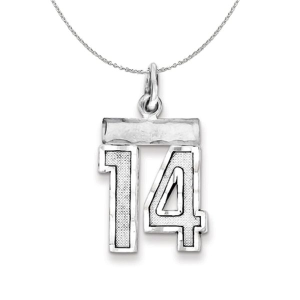 Sterling Silver, Varsity Collection, Small D/C Number 14 Necklace