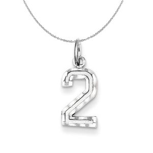 Sterling Silver, Varsity Collection, Small D/C Number 2 Necklace