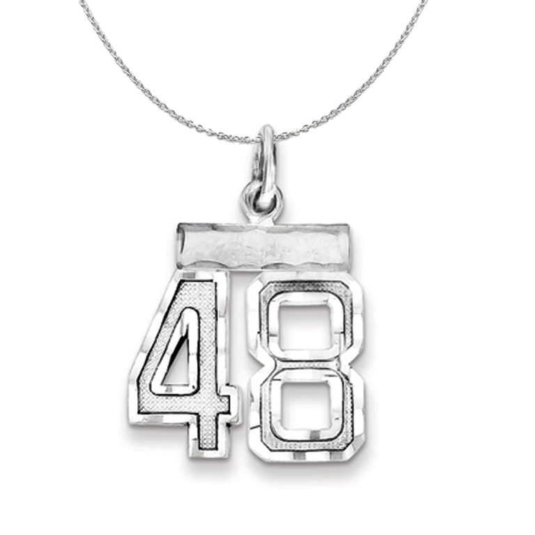 Sterling Silver, Varsity Collection, Small D/C Number 48 Necklace